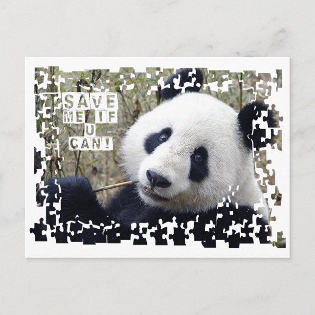 Der Riesenpanda gerettet Postkarte (Vorderseite)