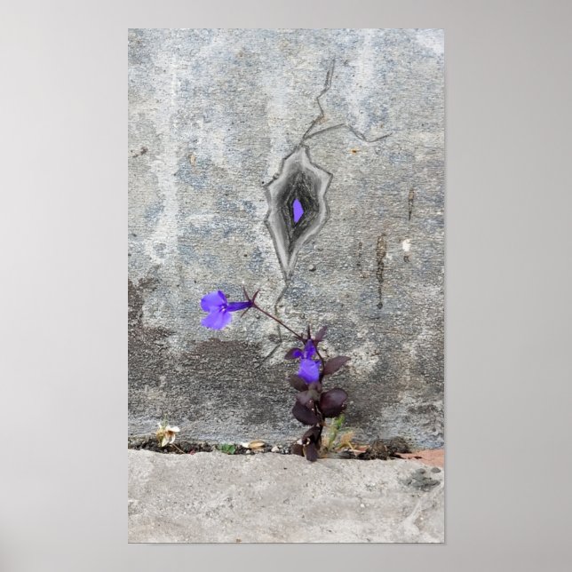 Der Riss in der Wand Poster (Vorne)