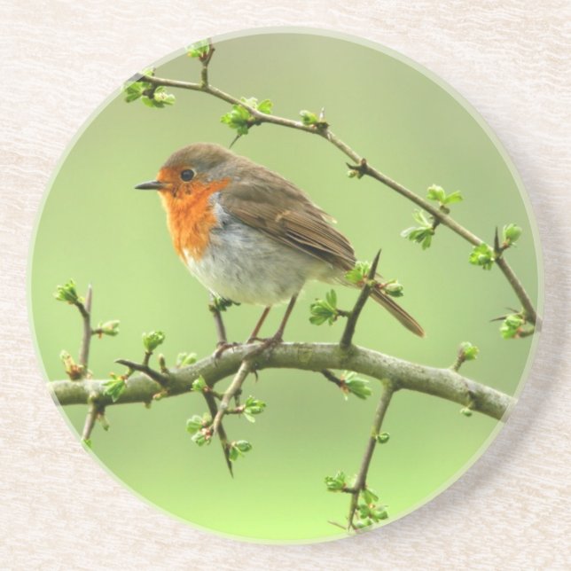 Der Robin Getränkeuntersetzer (Vorne)