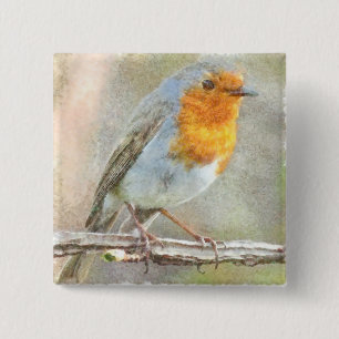 Der Robin ist eine Gabriel-Wasserfarbe Button