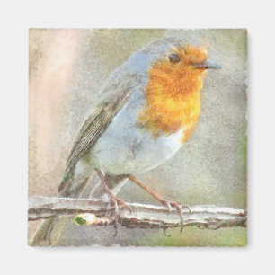 Der Robin ist eine Gabriel-Wasserfarbe Magnet