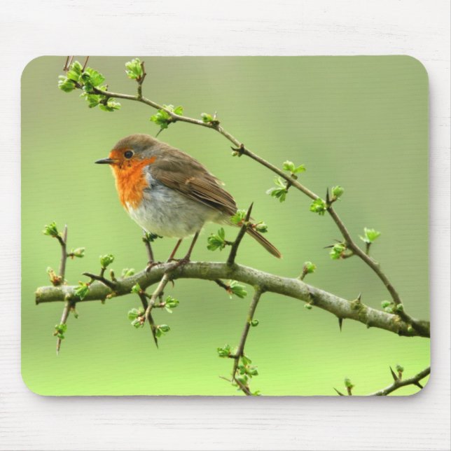 Der Robin Mousepad (Vorne)
