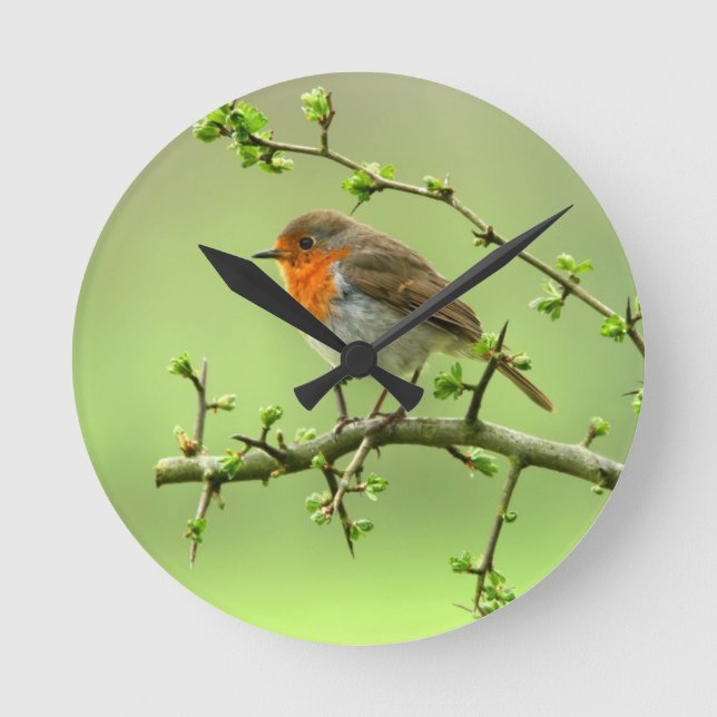 Der Robin Runde Wanduhr (Vorderseite)