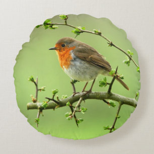 Der Robin Rundes Kissen