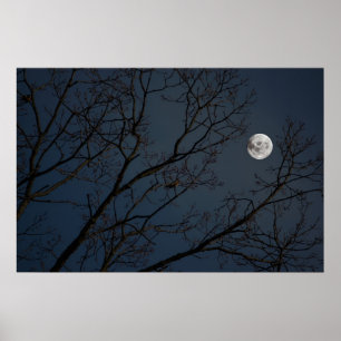 Der Robin u. der Mond Poster
