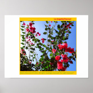 Der Rosariankrantz der Aurorischen Lampe! * Poster