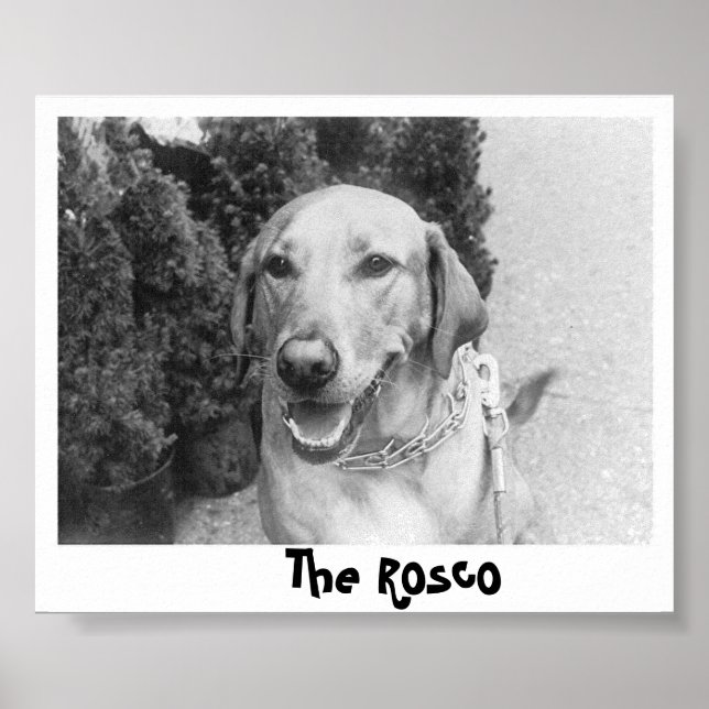 Der Rosco Poster (Vorne)