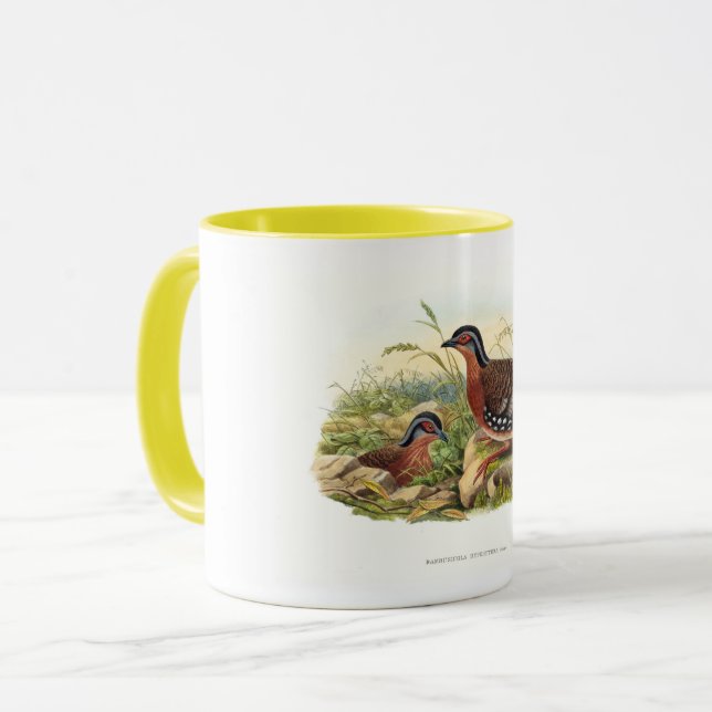 Der Rotbrüste-Partridge (Hyperythra von Bambusicol Tasse (Vorderseite Links)