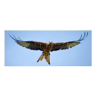 Der rote Drache Fotodruck