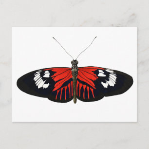 Der rote Postman Butterfly Postkarte