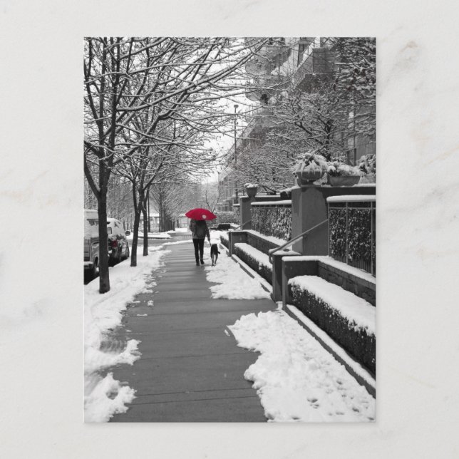 Der rote Regenschirm Postkarte (Vorderseite)