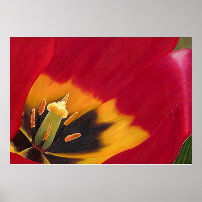 Der rote Tulip Poster (Vorne)