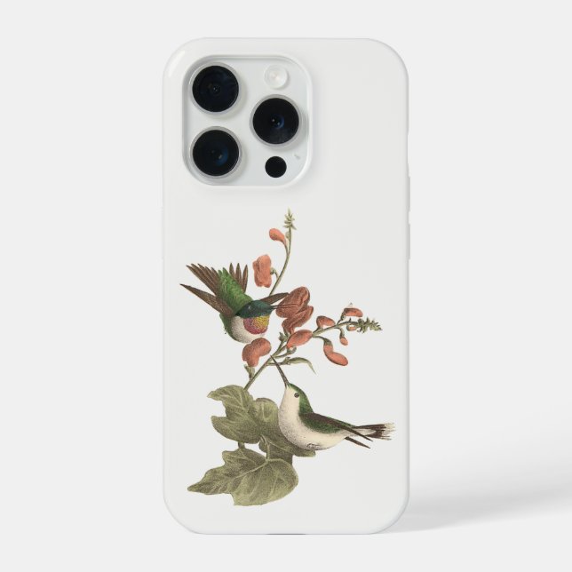 Der rothaarige oder rubingebeutelte Hummingvogel iPhone 15 Pro Hülle (Rückseite)