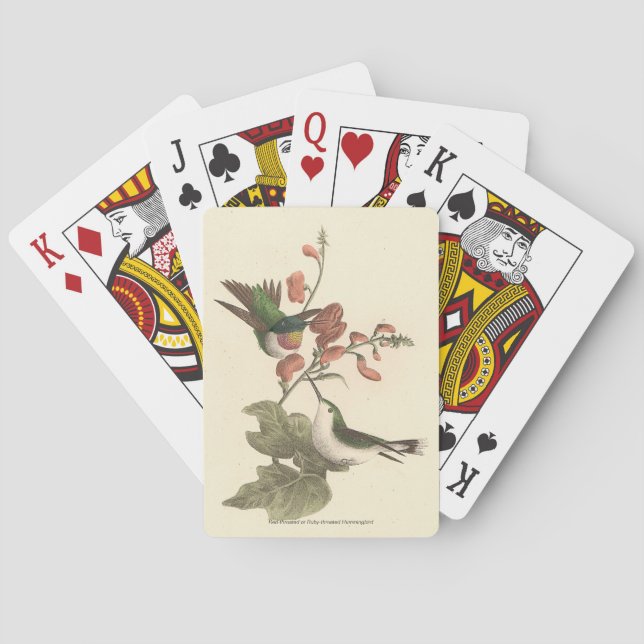 Der rothaarige oder rubingebeutelte Hummingvogel Spielkarten (Rückseite)