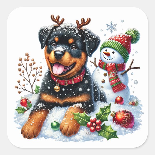 Der Rottiche-Rentier-Rekrut des Weihnachtsmanns! Quadratischer Aufkleber (Vorderseite)
