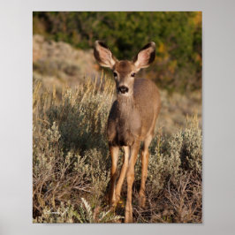 Der Ruf der wilden Leinwand Poster