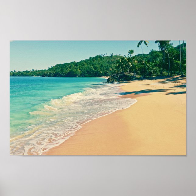 Der ruhige tropische Strand Poster (Vorne)