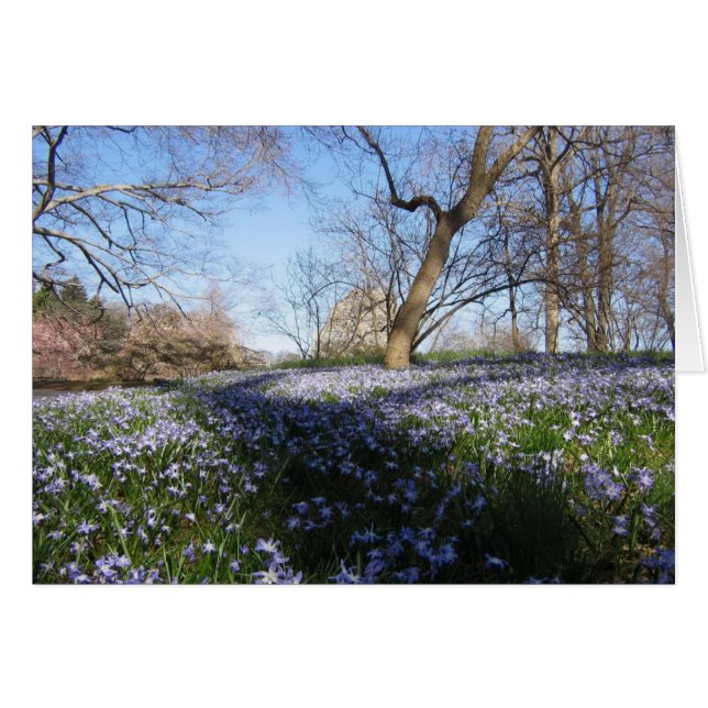 Der Ruhm des Frühlings - Karte (Vorderseite (Horizontal))