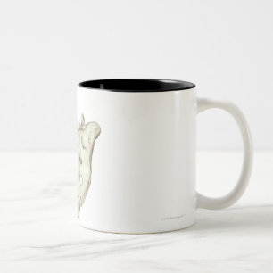 Der Sacrum Zweifarbige Tasse