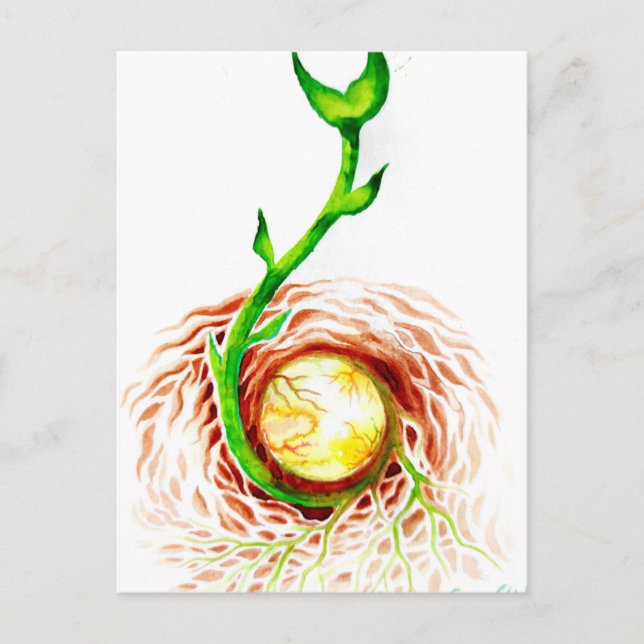 Der Samen von Leinwand des Lebensplakats Postkarte (Vorderseite)