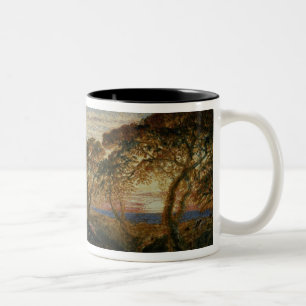 Der schattenhafte Strom Zweifarbige Tasse
