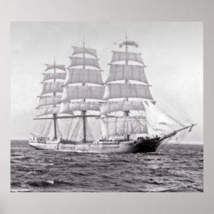 Der Scherer St David Poster