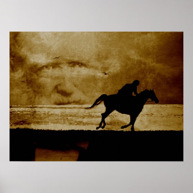 Der Schimmelreiter - Theodor Storm Poster (Vorne)