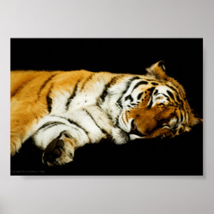 Der schlafende Amur-Druck Poster