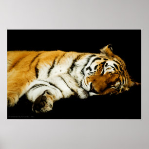 Der schlafende Amur Print Poster