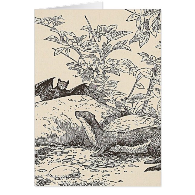 Der Schläger und das Nerz (Vorne)