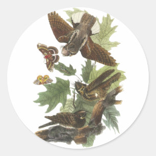 Der schlechte Wille, John Audubon Runder Aufkleber