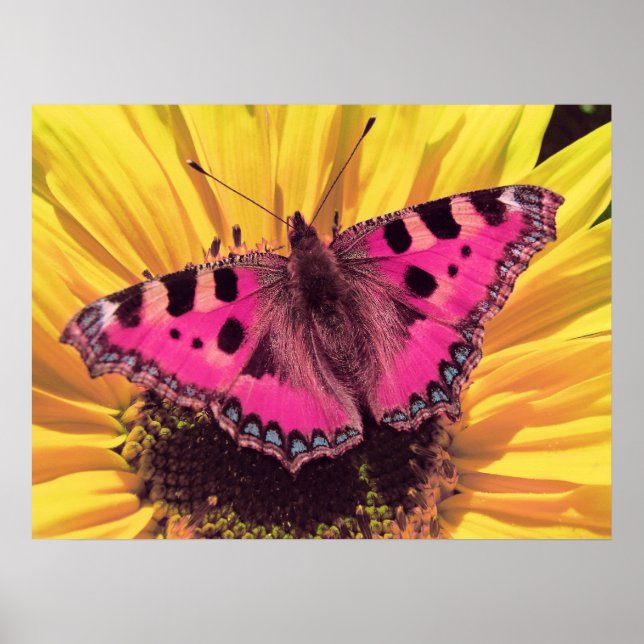 Der Schmetterling ist eine fliegende Blume Poster (Vorne)