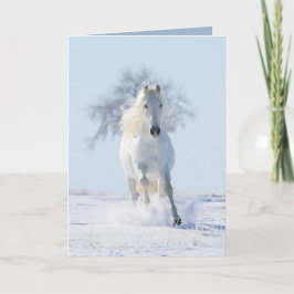 Der Schneehengst und die Grußkarte des Baumpferdes Karte