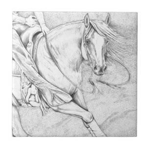 Der Schneider Fliese