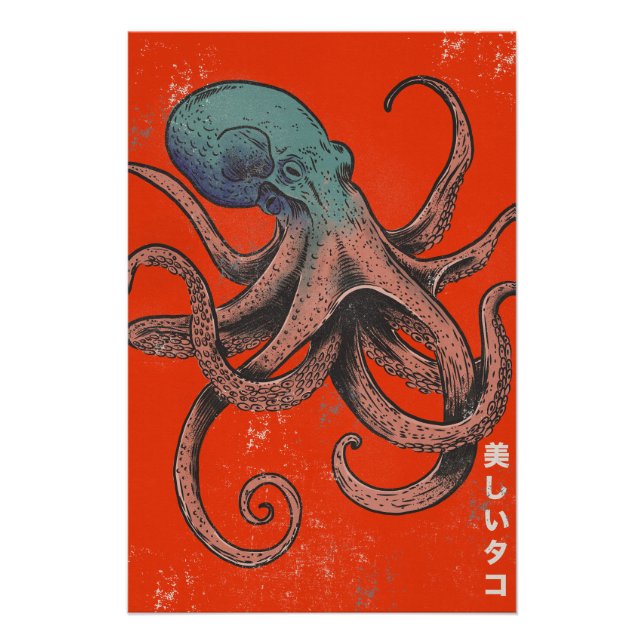 Der schöne Krake Poster (Vorderseite)