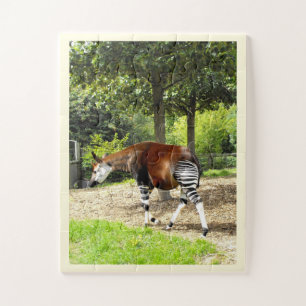 Der schöne Okapi