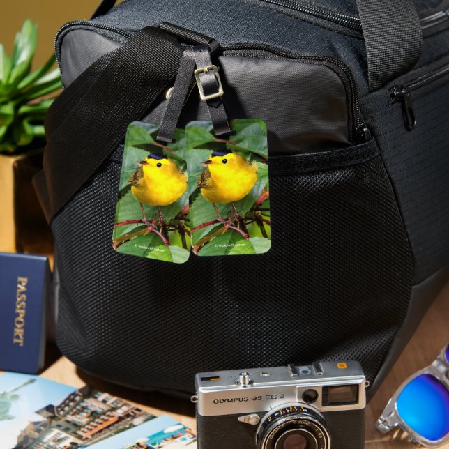 Der schöne Wilson's Warbler im Kirschbaum Gepäckanhänger (Vorderseite & Rückseite)