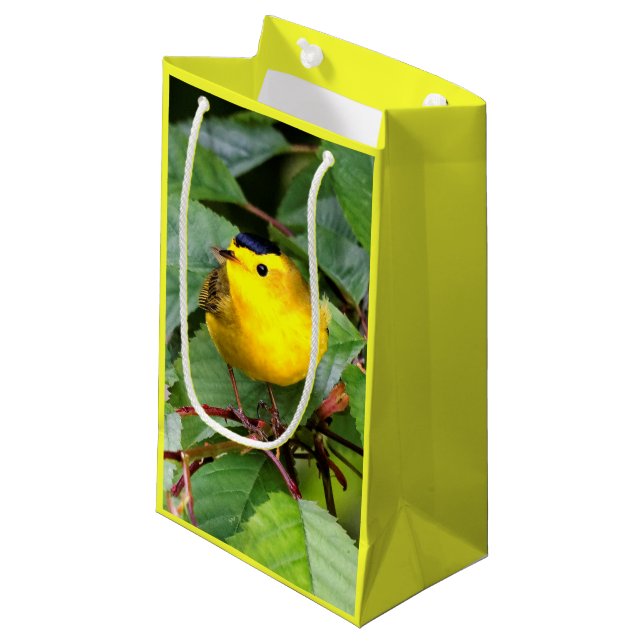 Der schöne Wilson's Warbler im Kirschbaum Kleine Geschenktüte (Vorderseite Schrägansicht)