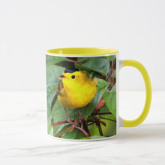 Der schöne Wilson's Warbler im Kirschbaum Tasse (Rechts)