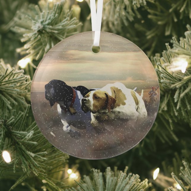 Der schöne Zeiger Ornament Aus Glas (InSitu)