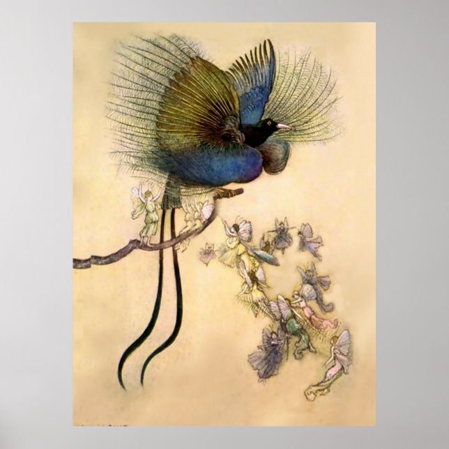 „Der schönste Vogel“ von Warwick Goble Poster (Vorne)