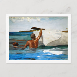 Der Schwammtaucher von Winslow Homer Postkarte