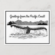 Der Schwanz der Wale