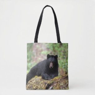 Der schwarze Bär auf einer alten Wachstumsprognose Tasche