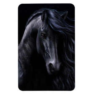 Der schwarze erstklassige Flexi Magnet