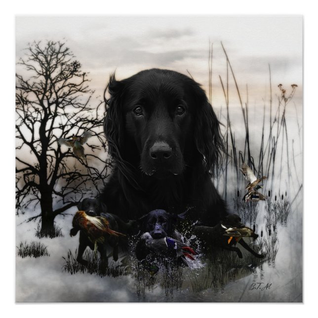 Der schwarze goldene Retrievers Poster (Vorderseite)