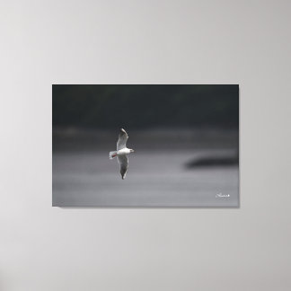 Der schwarze Schädel Ver.Sommer in Japan Leinwanddruck