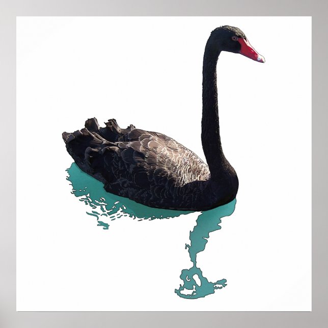 Der Schwarze Schwan Poster (Vorne)