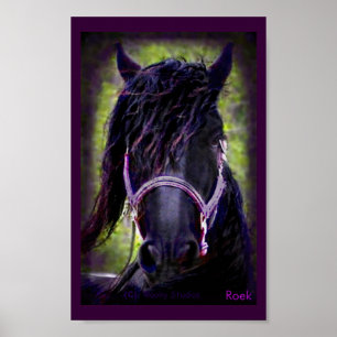 Der schwarze Stallion Poster