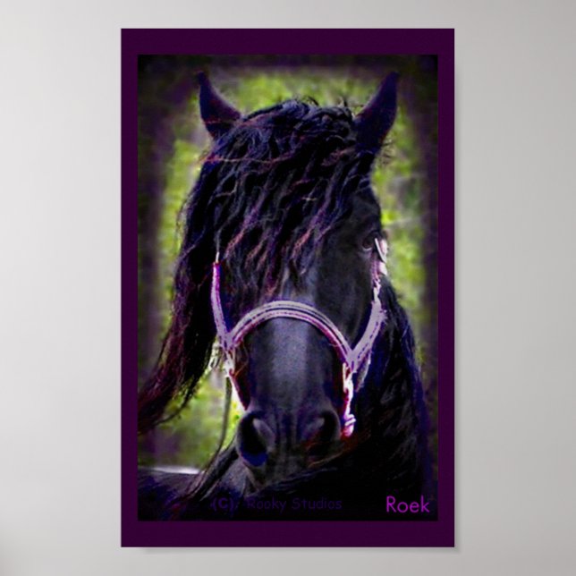 Der schwarze Stallion Poster (Vorne)